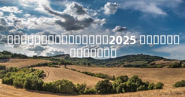 ѡ��������������2025 ѡ������������